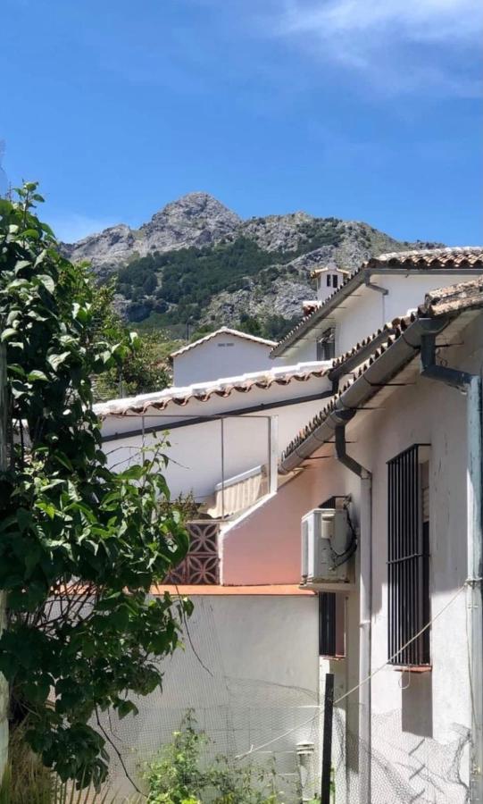 Apartamento La Parra Grazalema Eksteriør billede